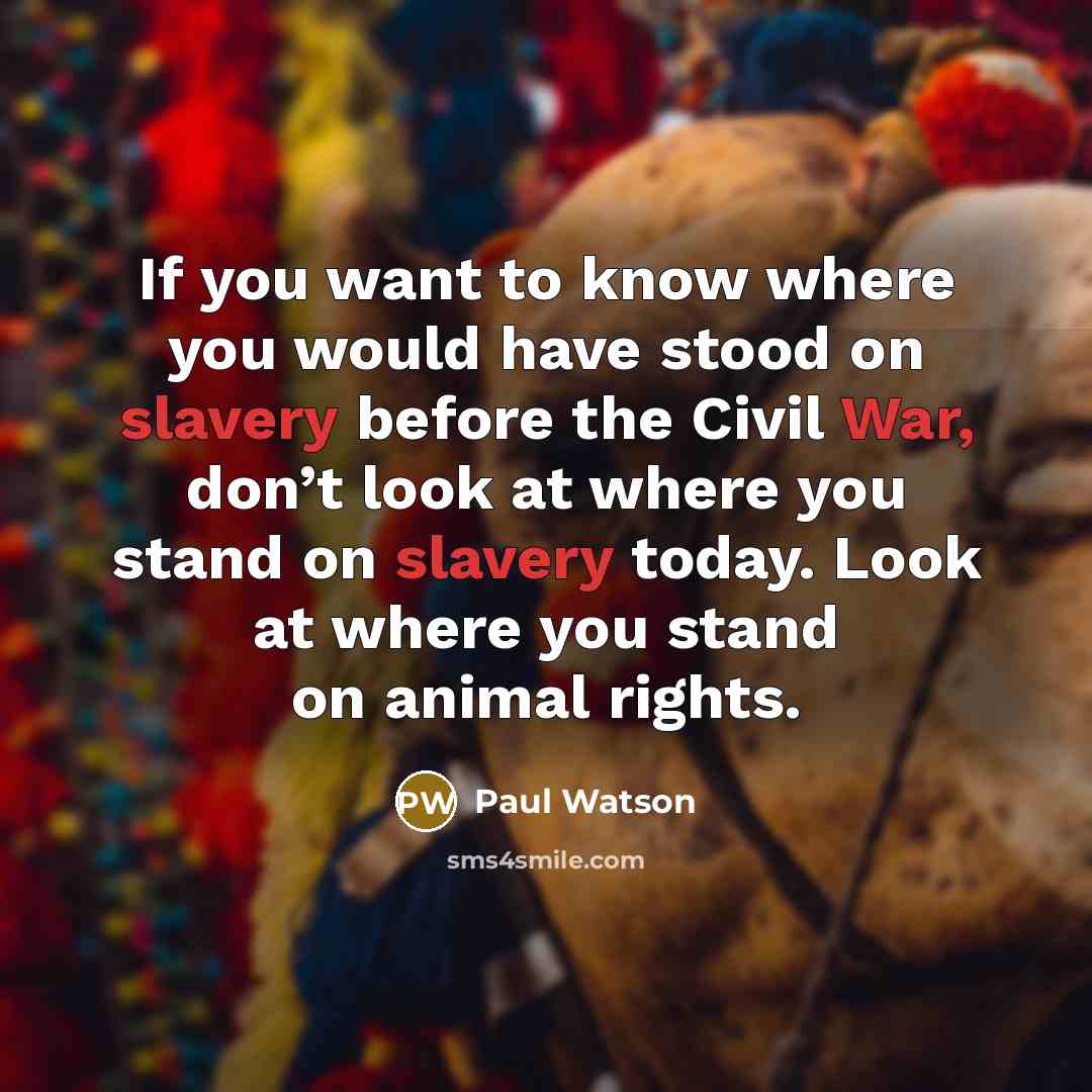 “If you want to know where you would have stood on slavery before the Civil War, don’t look at where you stand on slavery today. Look at where you stand on animal rights.” quote by Paul Watson