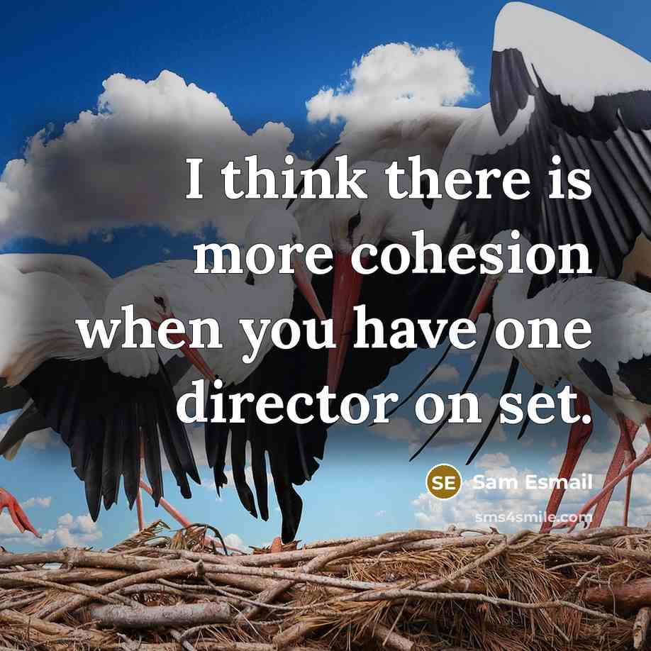 “I think there is more cohesion when you have one director on set.” quote by Sam Esmail