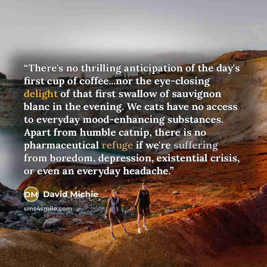 “There's no thrilling anticipation of the day's first cup of coffee...nor the eye-closing delight of that first swallow of sauvignon blanc in the evening. We cats have no access to everyday mood-enhancing substances. Apart from humble catnip, there is no pharmaceutical refuge if we're suffering…” quote by David Michie