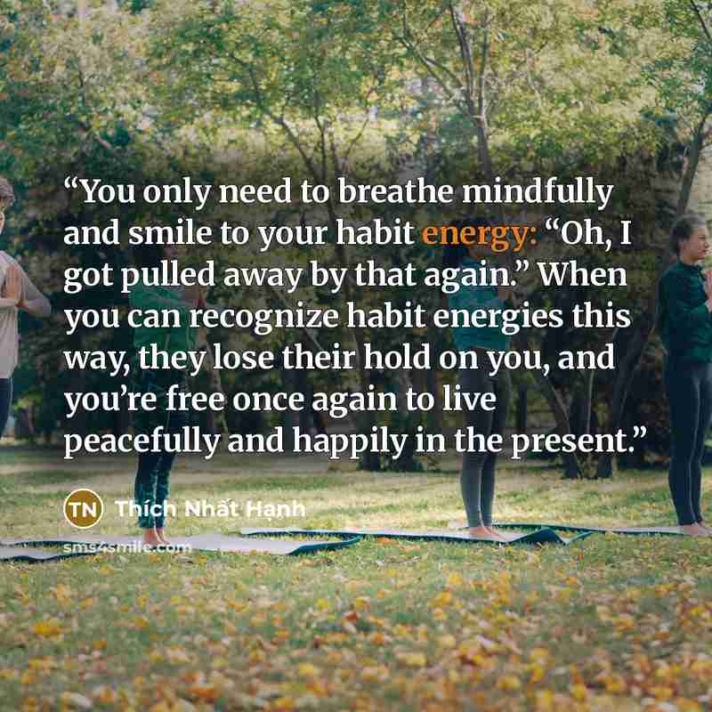 “You only need to breathe mindfully and smile to your habit energy: “Oh, I got pulled away by that again.” When you can recognize habit energies this way, they lose their hold on you, and you’re free once again to live peacefully and happily in the present.” quote by Thích Nhất Hạnh