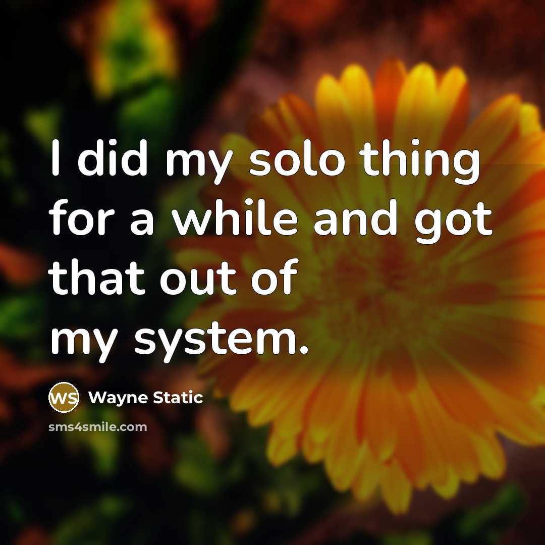 “I did my solo thing for a while and got that out of my system.” quote by Wayne Static