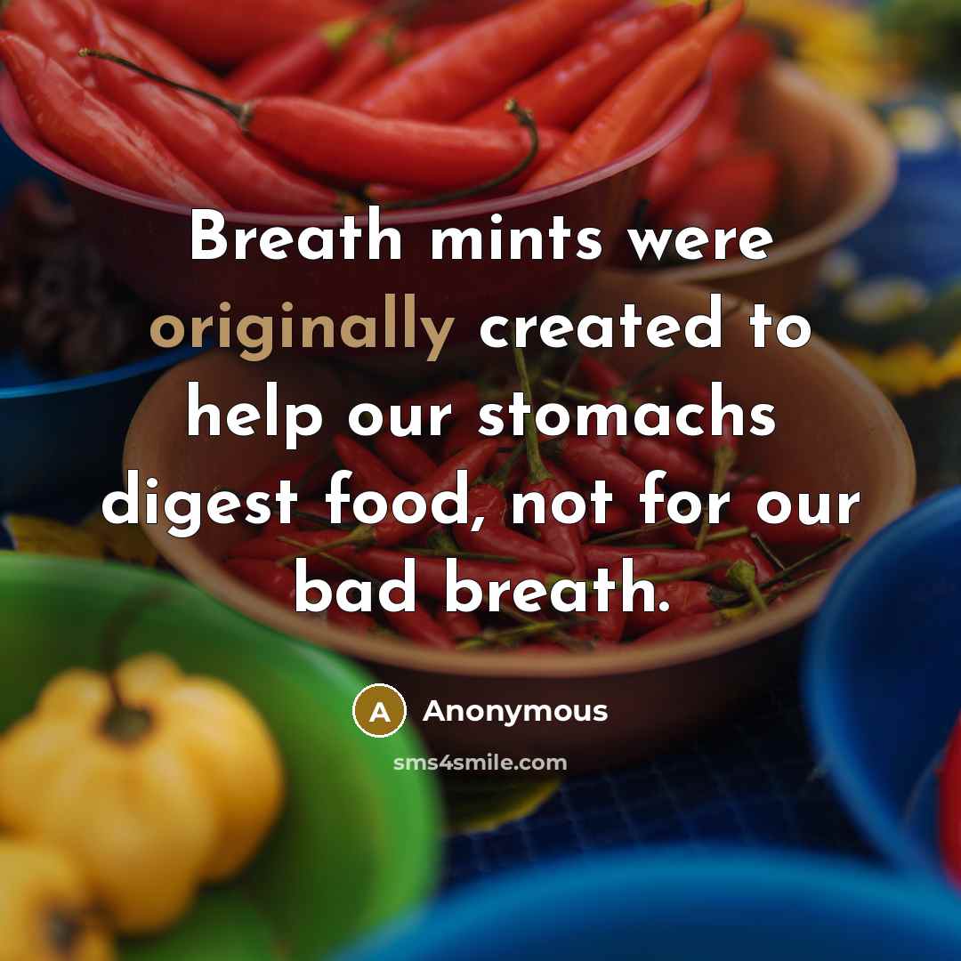 “Breath mints were originally created to help our stomachs digest food, not for our bad breath.” quote by Anonymous