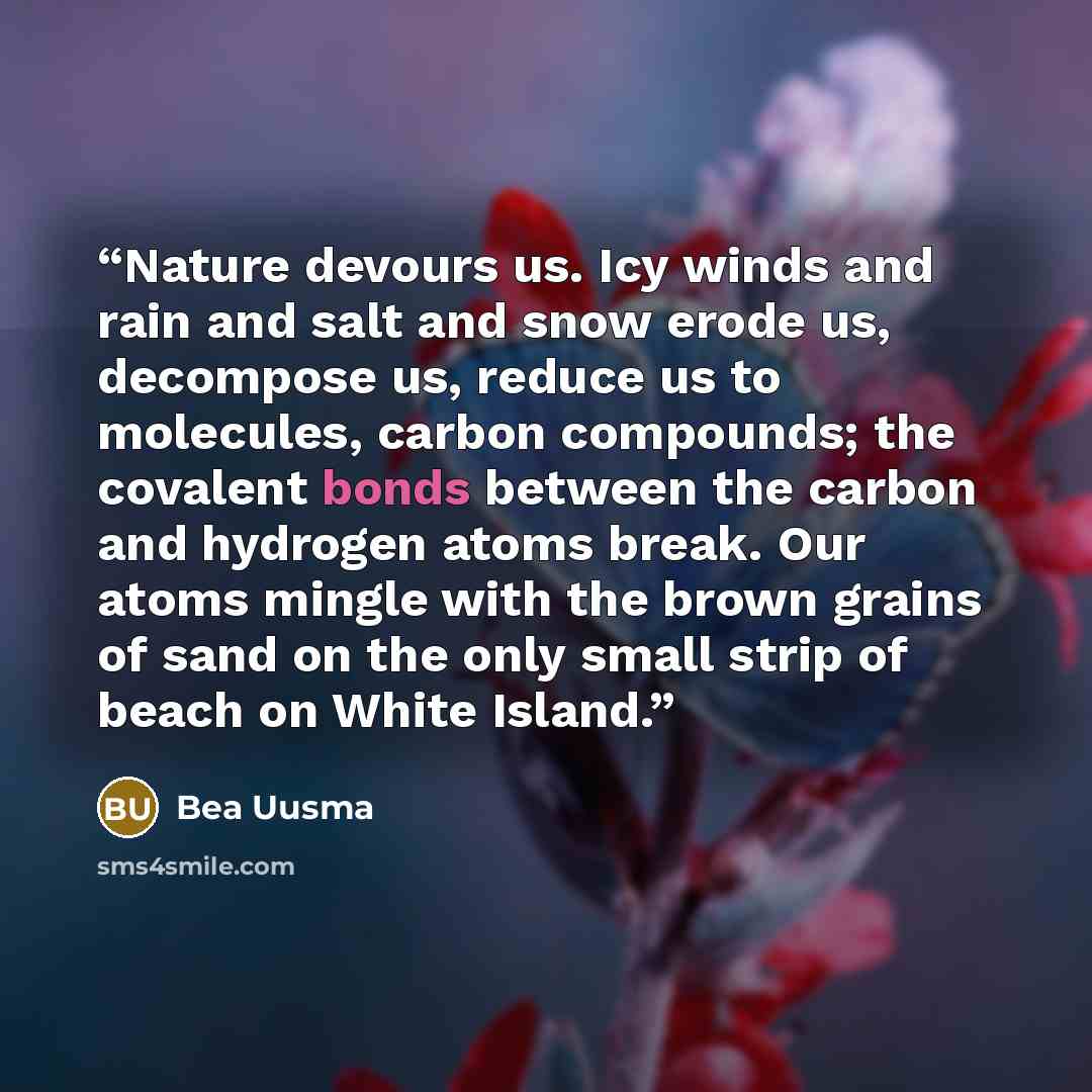 “Nature devours us. Icy winds and rain and salt and snow erode us, decompose us, reduce us to molecules, carbon compounds; the covalent bonds between the carbon and hydrogen atoms break. Our atoms mingle with the brown grains of sand on the only small strip of beach on White Island.” quote by Bea Uusma