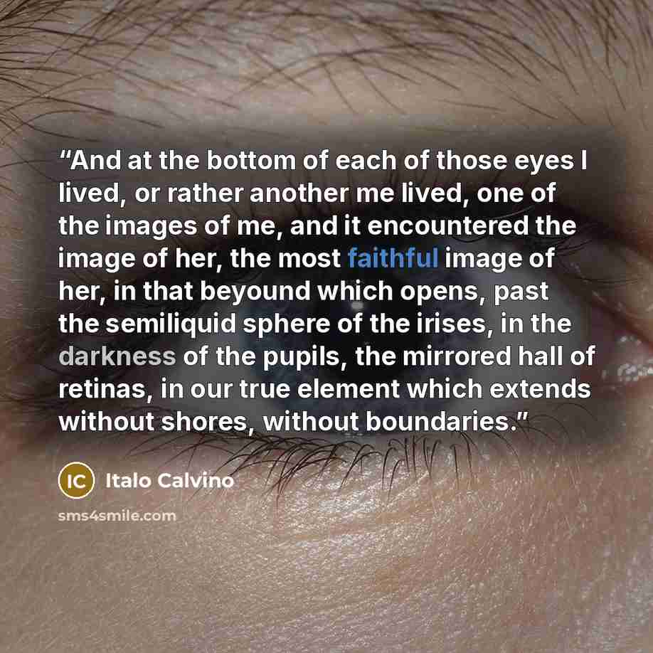 “And at the bottom of each of those eyes I lived, or rather another me lived, one of the images of me, and it encountered the image of her, the most faithful image of her, in that beyound which opens, past the semiliquid sphere of the irises, in the darkness of the pupils, the mirrored hall of…” quote by Italo Calvino