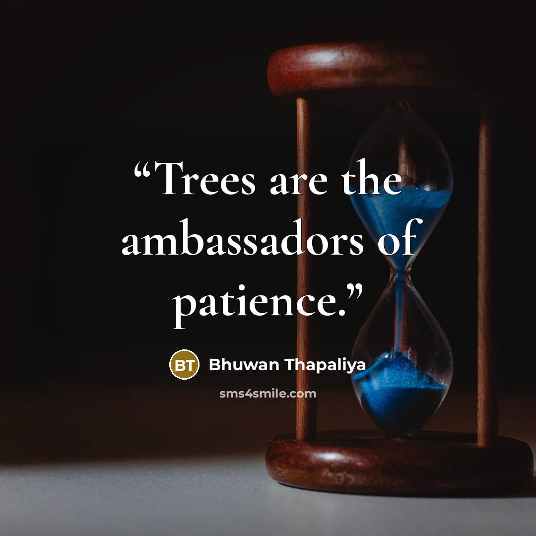 “Trees are the ambassadors of patience.” quote by Bhuwan Thapaliya