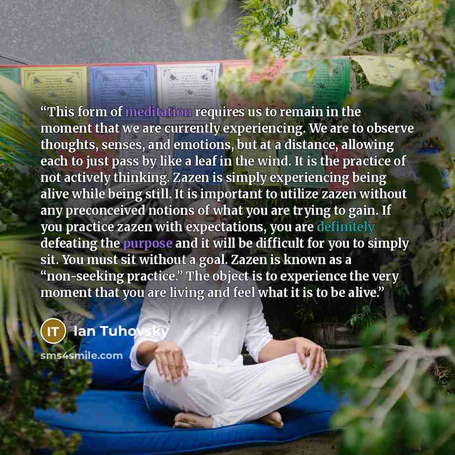 “This form of meditation requires us to remain in the moment that we are currently experiencing. We are to observe thoughts, senses, and emotions, but at a distance, allowing each to just pass by like a leaf in the wind. It is the practice of not actively thinking. Zazen is simply experiencing…” quote by Ian Tuhovsky