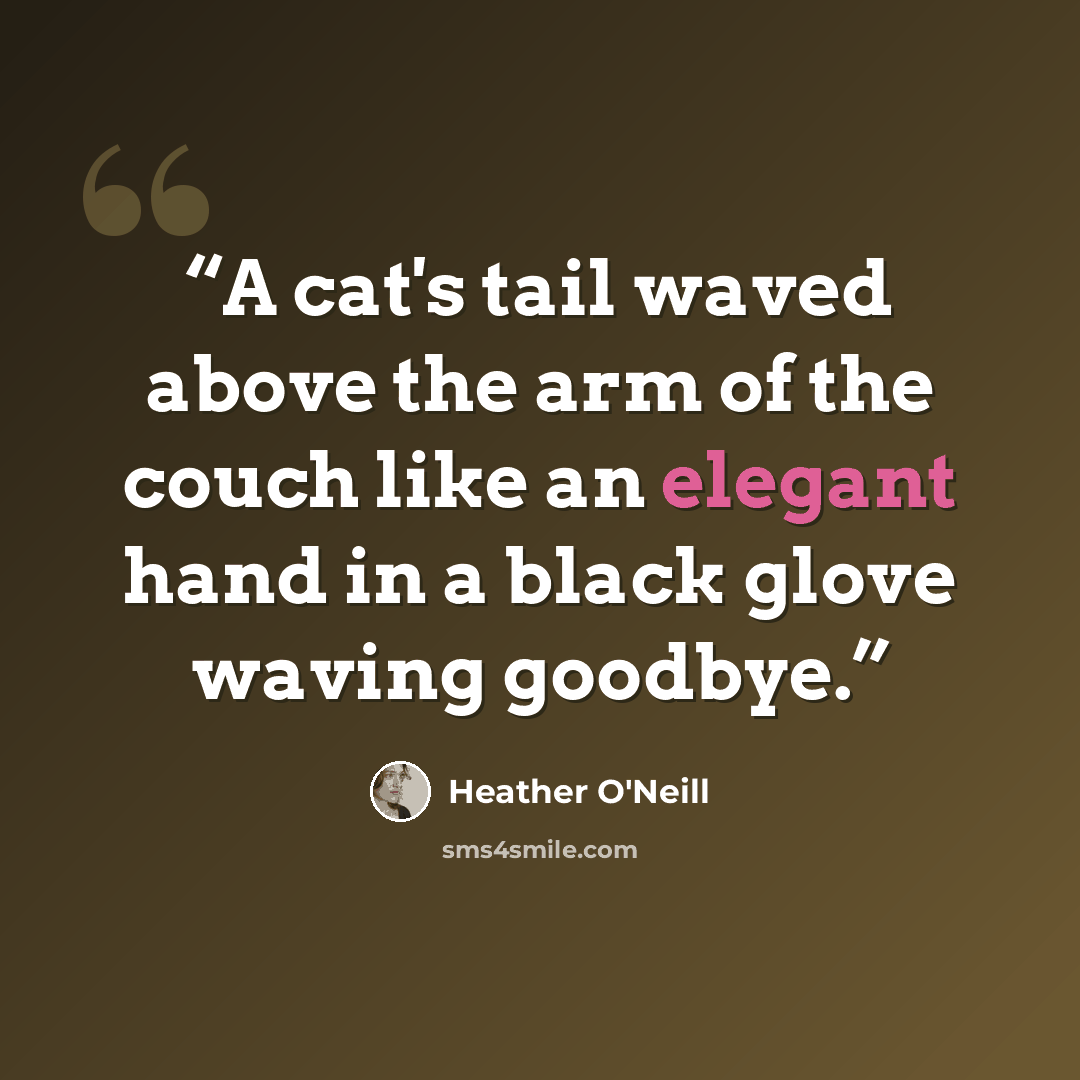 “A cat's tail waved above the arm of the couch like an elegant hand in a black glove waving goodbye.” quote by Heather O'Neill