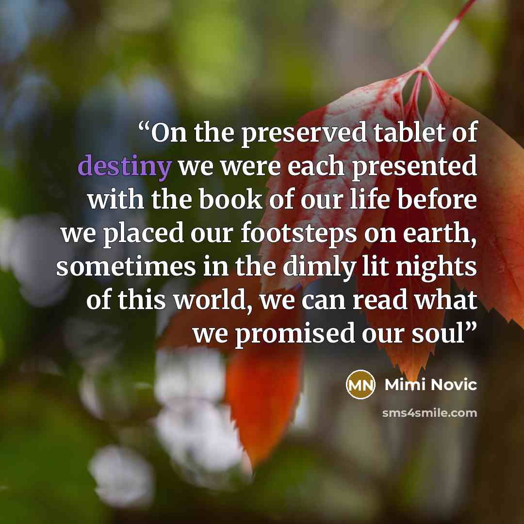 “On the preserved tablet of destiny we were each presented with the book of our life before we placed our footsteps on earth, sometimes in the dimly lit nights of this world, we can read what we promised our soul” quote by Mimi Novic