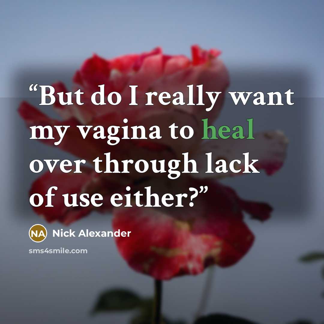 “But do I really want my vagina to heal over through lack of use either?” quote by Nick Alexander