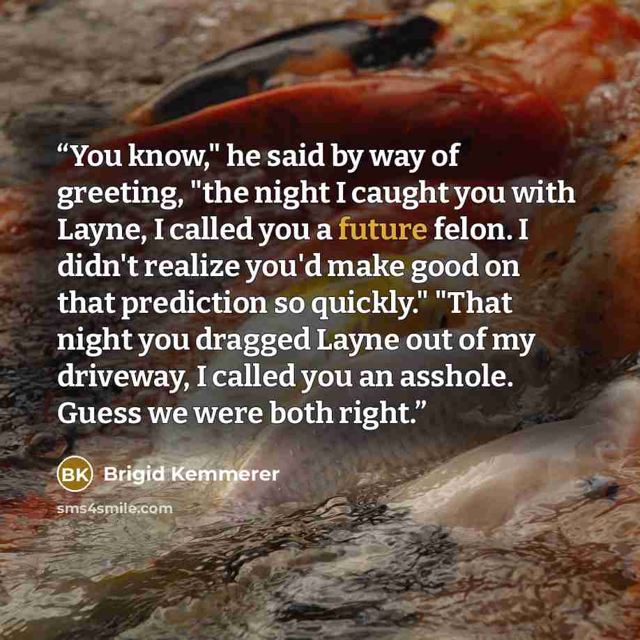 “You know," he said by way of greeting, "the night I caught you with Layne, I called you a future felon. I didn't realize you'd make good on that prediction so quickly." "That night you dragged Layne out of my driveway, I called you an asshole. Guess we were both right.” quote by Brigid Kemmerer