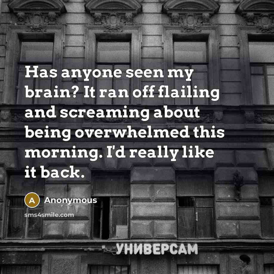 “Has anyone seen my brain? It ran off flailing and screaming about being overwhelmed this morning. I'd really like it back.” quote by Anonymous
