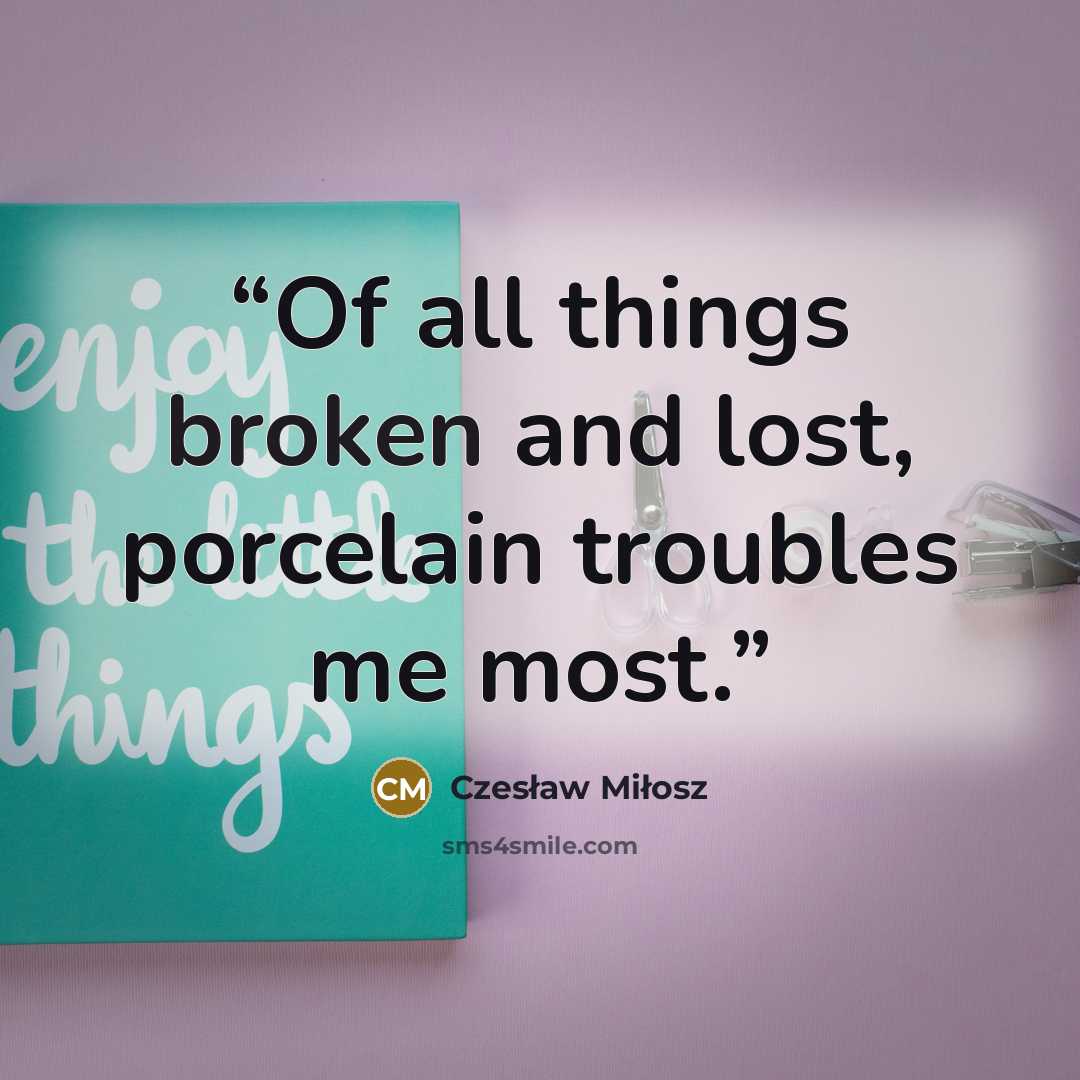 “Of all things broken and lost, porcelain troubles me most.” quote by Czesław Miłosz