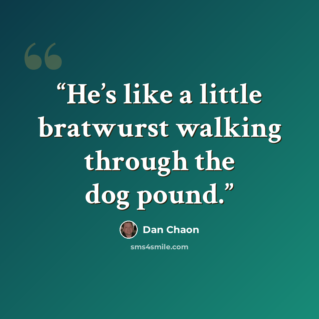“He’s like a little bratwurst walking through the dog pound.” quote by Dan Chaon