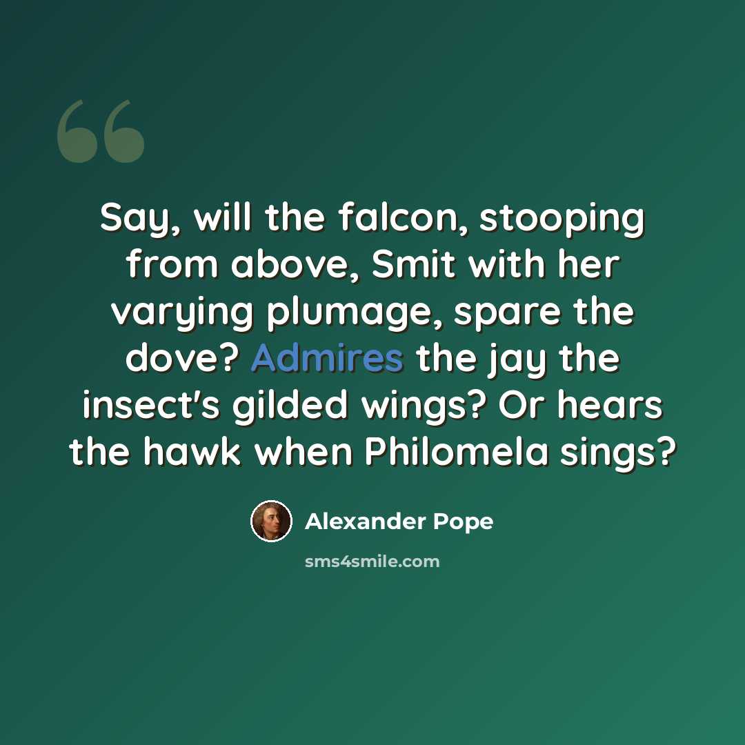 “Say, will the falcon, stooping from above, Smit with her varying plumage, spare the dove? Admires the jay the insect's gilded wings? Or hears the hawk when Philomela sings?” quote by Alexander Pope