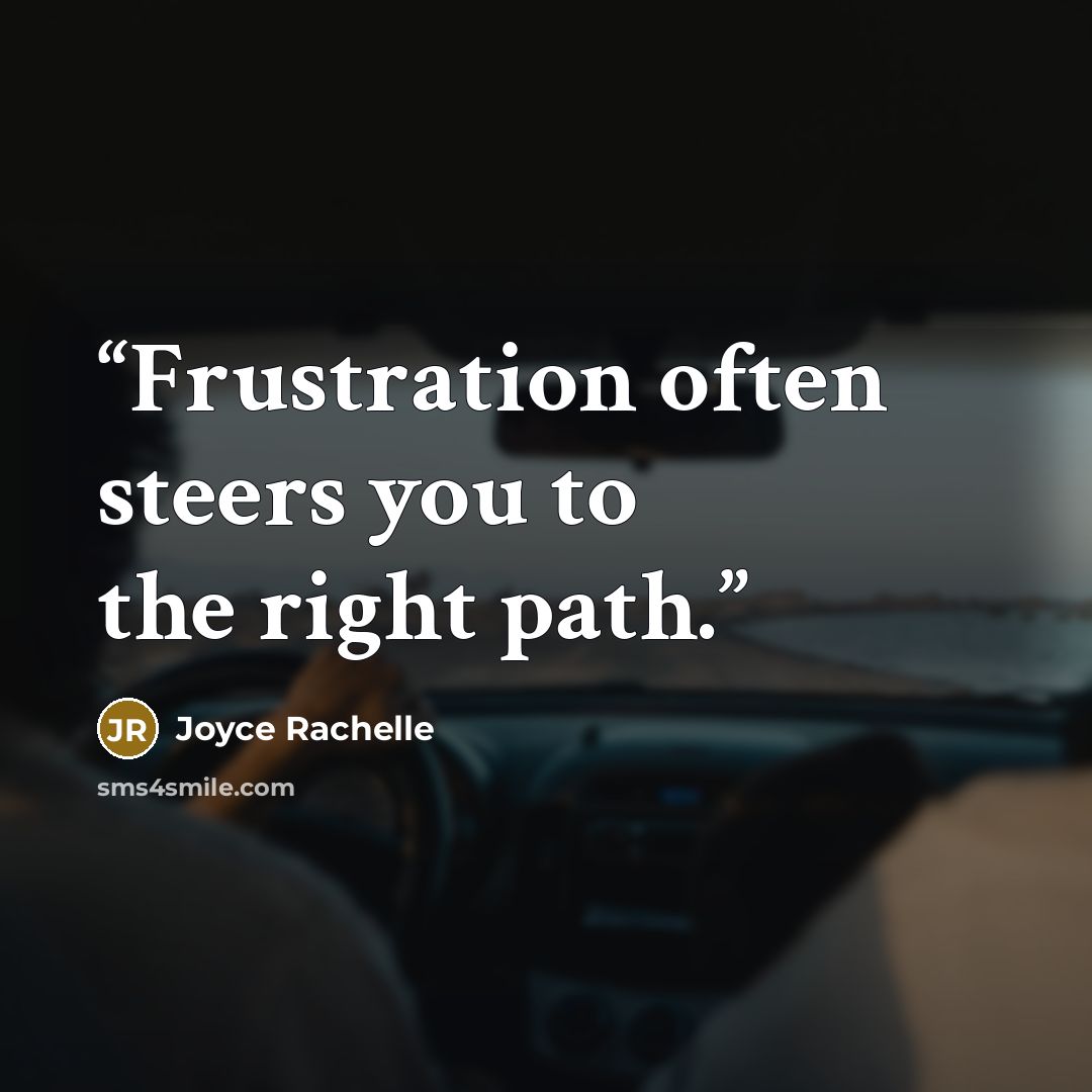 “Frustration often steers you to the right path.” quote by Joyce Rachelle