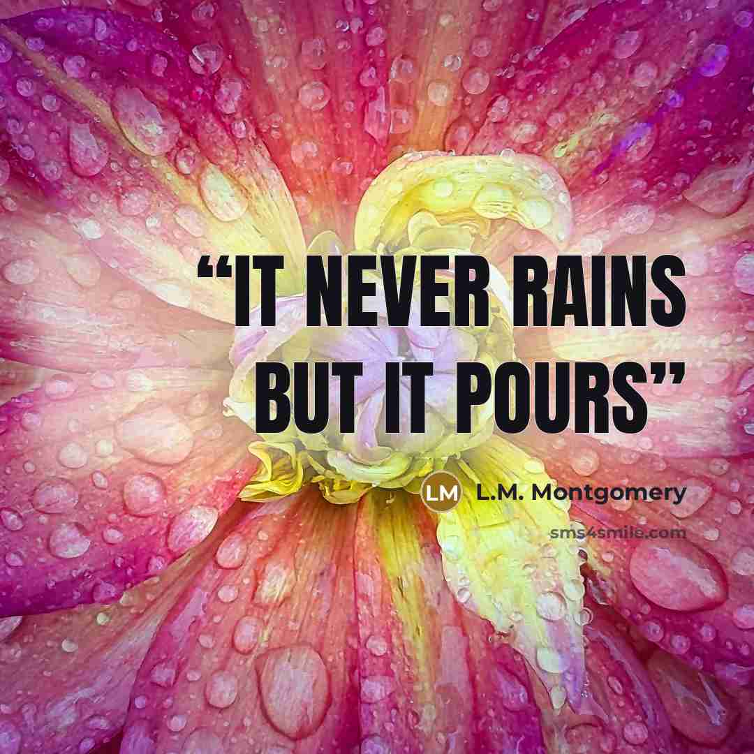 “It never rains but it pours” quote by L.M. Montgomery