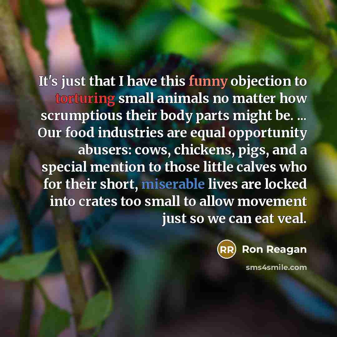 “It's just that I have this funny objection to torturing small animals no matter how scrumptious their body parts might be. ... Our food industries are equal opportunity abusers: cows, chickens, pigs, and a special mention to those little calves who for their short, miserable lives are locked into…” quote by Ron Reagan
