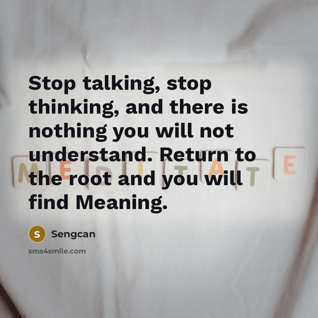 “Stop talking, stop thinking, and there is nothing you will not understand. Return to the root and you will find Meaning.” quote by Sengcan