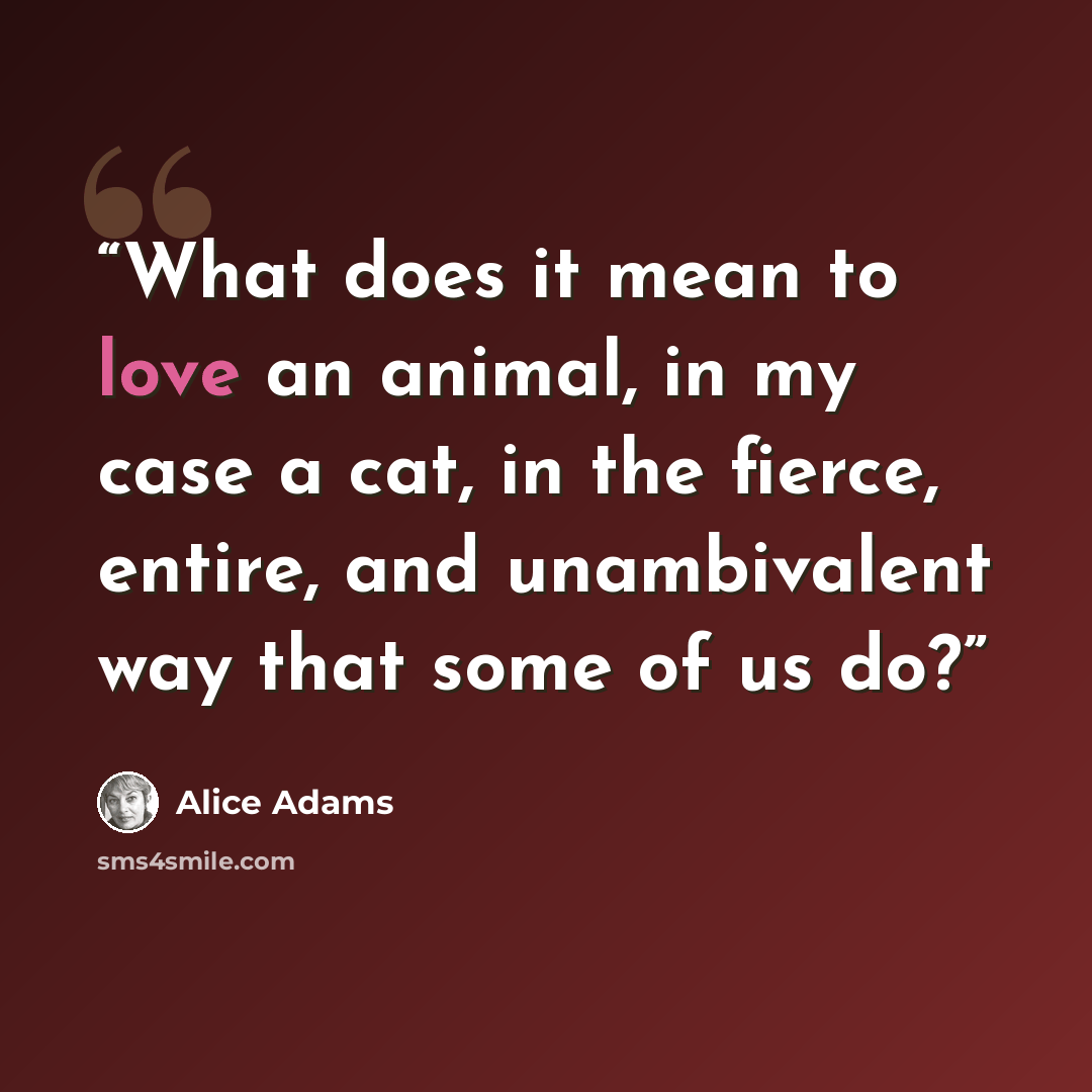 “What does it mean to love an animal, in my case a cat, in the fierce, entire, and unambivalent way that some of us do?” quote by Alice Adams