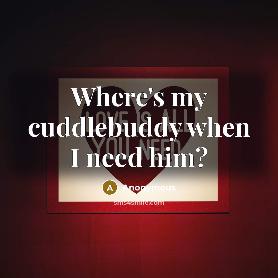 “Where's my cuddlebuddy when I need him?” quote by Anonymous