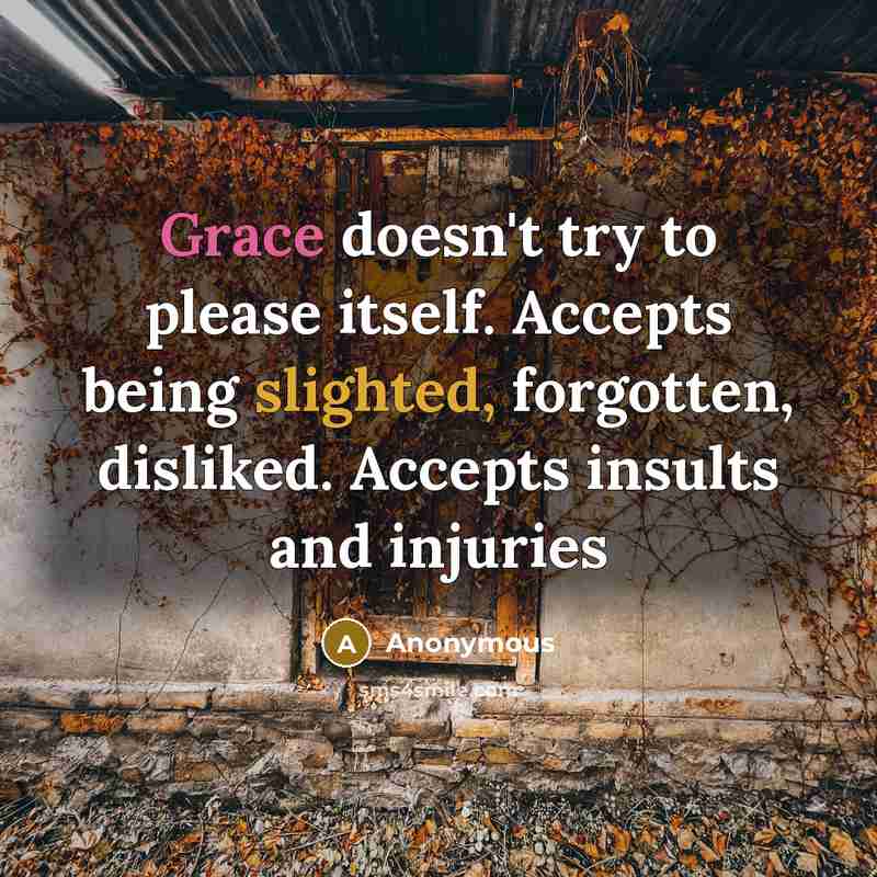 “Grace doesn't try to please itself. Accepts being slighted, forgotten, disliked. Accepts insults and injuries” quote by Anonymous
