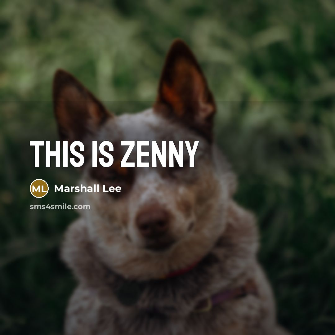 “This is zenny” quote by Marshall Lee