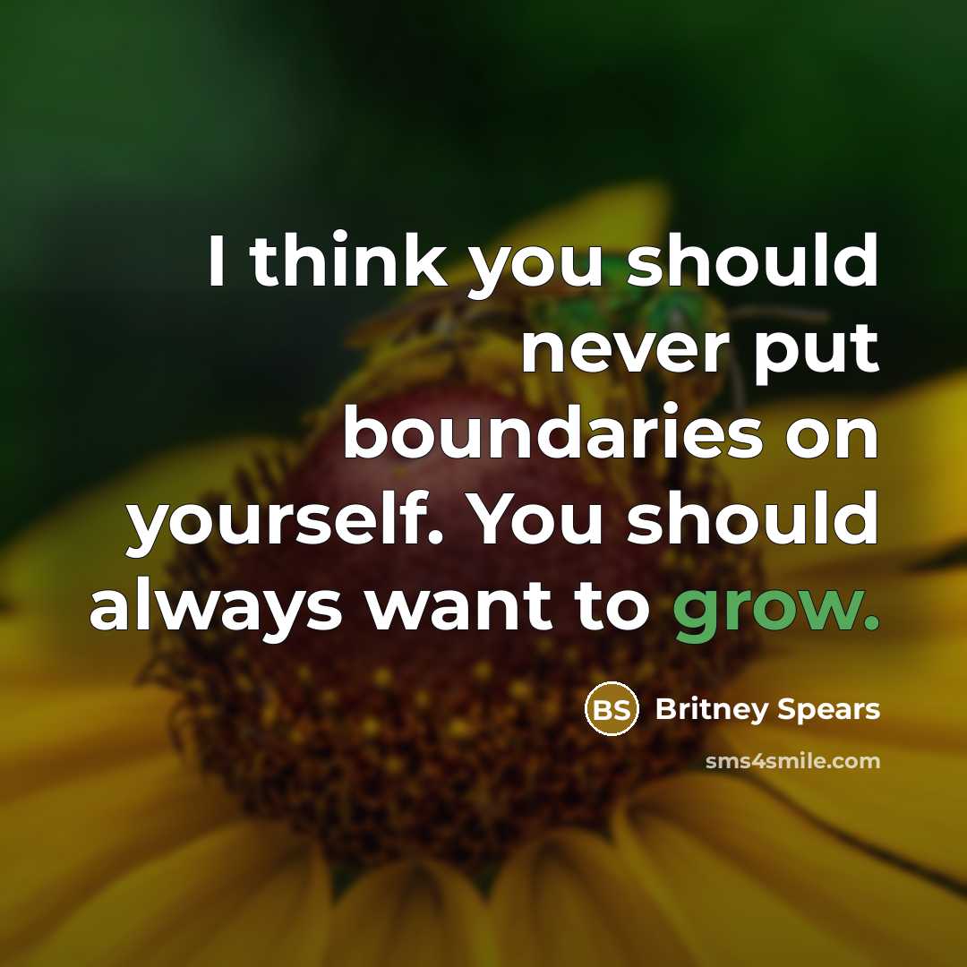 “I think you should never put boundaries on yourself. You should always want to grow.” quote by Britney Spears