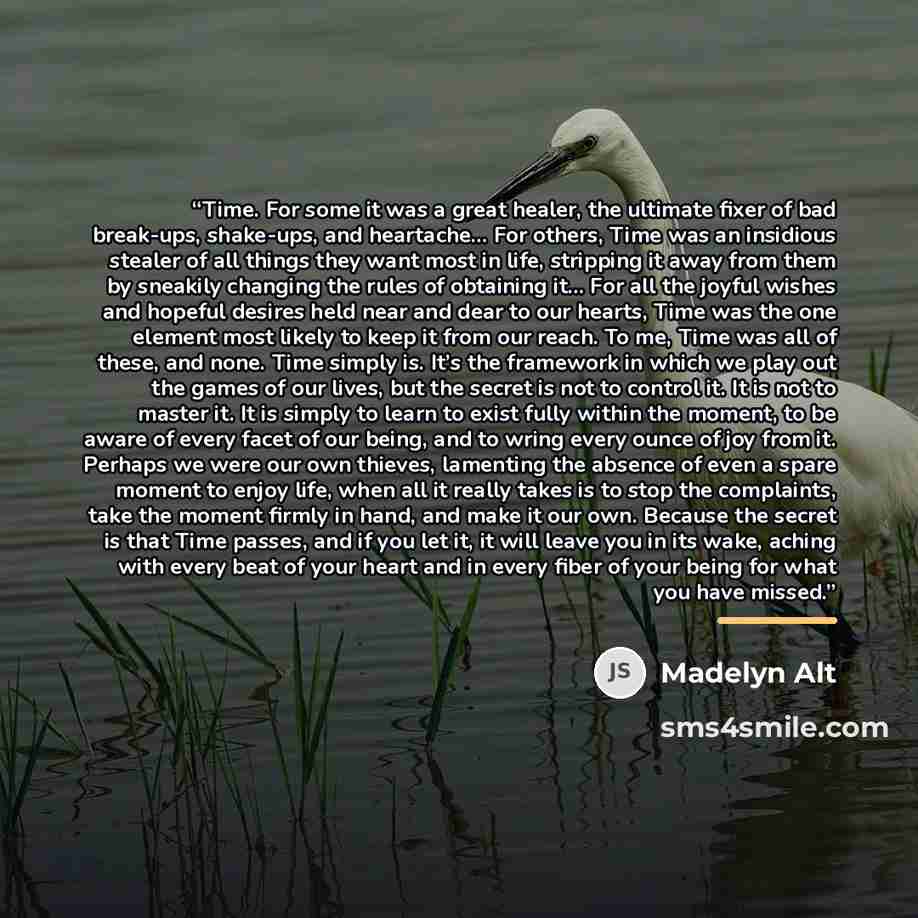 “Time. For some it was a great healer, the ultimate fixer of bad break-ups, shake-ups, and heartache… For others, Time was an insidious stealer of all things they want most in life, stripping it away from them by sneakily changing the rules of obtaining it… For all the joyful wishes and hopeful…” quote by Madelyn Alt