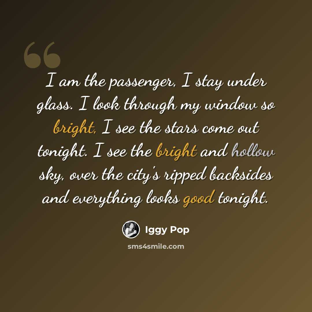 “I am the passenger, I stay under glass. I look through my window so bright, I see the stars come out tonight. I see the bright and hollow sky, over the city's ripped backsides and everything looks good tonight.” quote by Iggy Pop