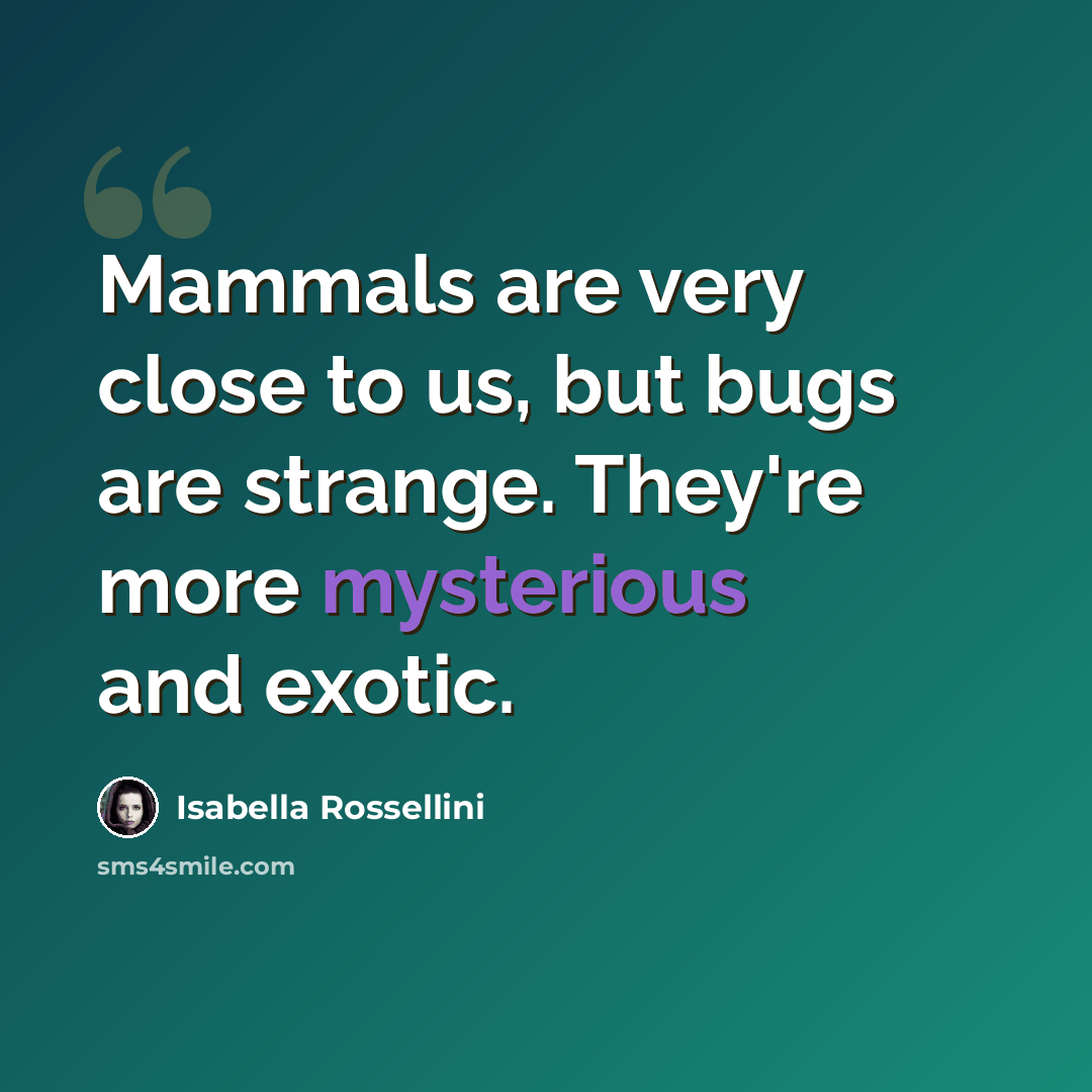 “Mammals are very close to us, but bugs are strange. They're more mysterious and exotic.” quote by Isabella Rossellini