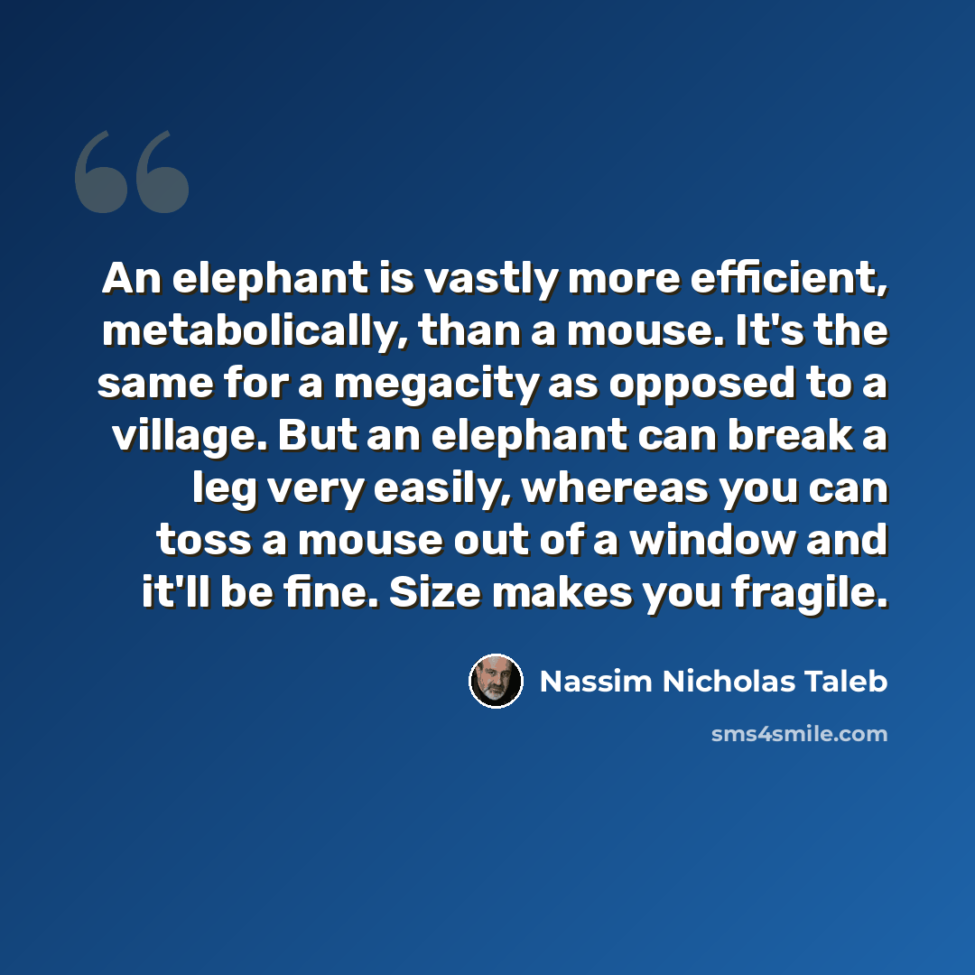 “An elephant is vastly more efficient, metabolically, than a mouse. It's the same for a megacity as opposed to a village. But an elephant can break a leg very easily, whereas you can toss a mouse out of a window and it'll be fine. Size makes you fragile.” quote by Nassim Nicholas Taleb