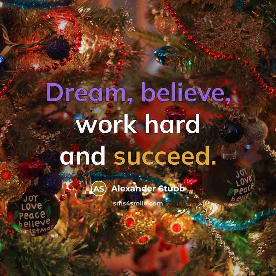 “Dream, believe, work hard and succeed.” quote by Alexander Stubb