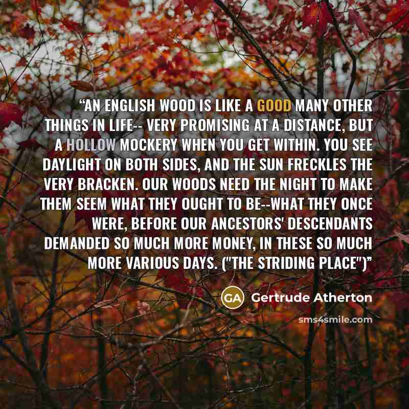“An English wood is like a good many other things in life-- very promising at a distance, but a hollow mockery when you get within. You see daylight on both sides, and the sun freckles the very bracken. Our woods need the night to make them seem what they ought to be--what they once were, before…” quote by Gertrude Atherton