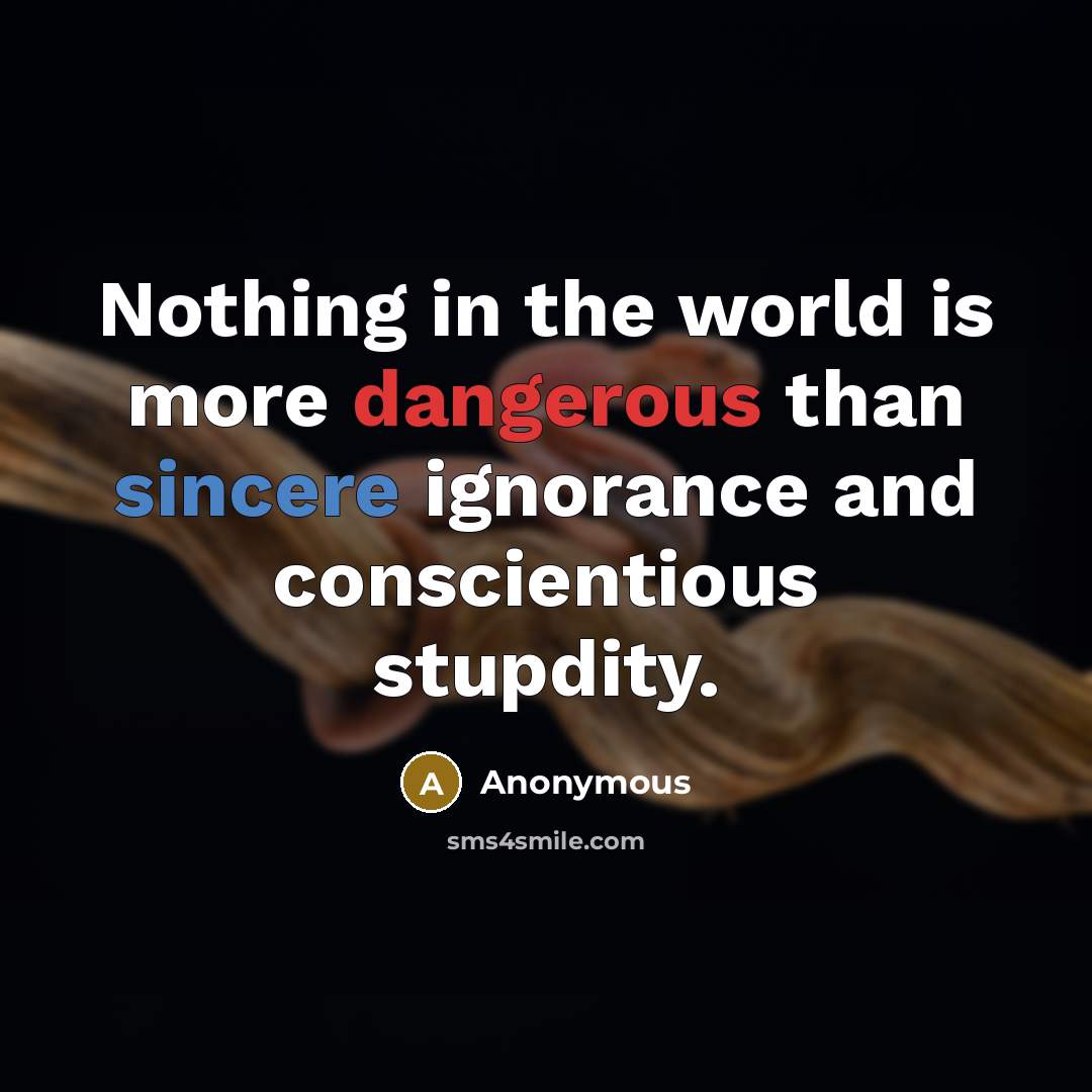 “Nothing in the world is more dangerous than sincere ignorance and conscientious stupdity.” quote by Anonymous