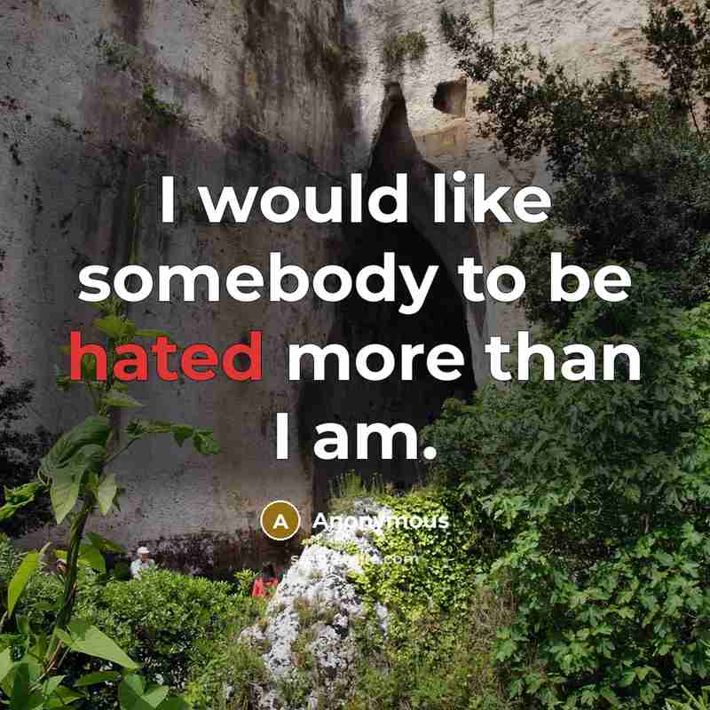 “I would like somebody to be hated more than I am.” quote by Anonymous