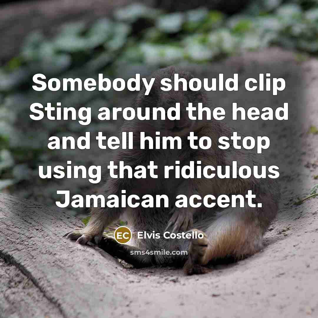 “Somebody should clip Sting around the head and tell him to stop using that ridiculous Jamaican accent.” quote by Elvis Costello