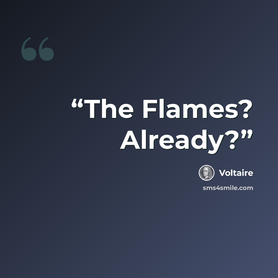 “The Flames? Already?” quote by Voltaire