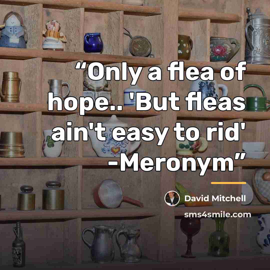 “Only a flea of hope.. 'But fleas ain't easy to rid' -Meronym” quote by David Mitchell