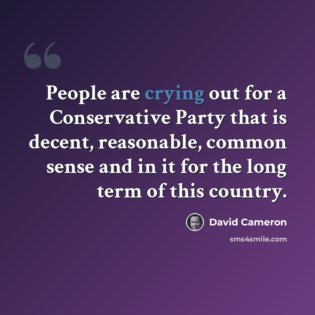 “People are crying out for a Conservative Party that is decent, reasonable, common sense and in it for the long term of this country.” quote by David Cameron