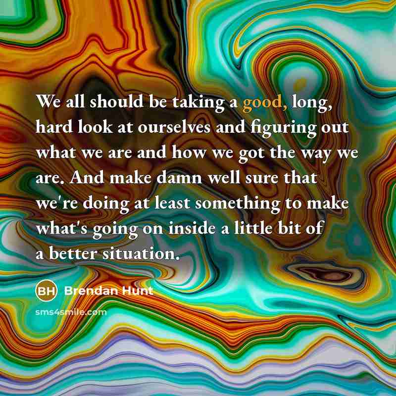 “We all should be taking a good, long, hard look at ourselves and figuring out what we are and how we got the way we are. And make damn well sure that we're doing at least something to make what's going on inside a little bit of a better situation.” quote by Brendan Hunt