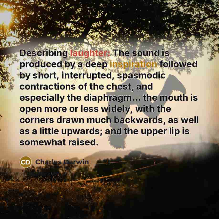 “Describing laughter: The sound is produced by a deep inspiration followed by short, interrupted, spasmodic contractions of the chest, and especially the diaphragm... the mouth is open more or less widely, with the corners drawn much backwards, as well as a little upwards; and the upper lip is…” quote by Charles Darwin