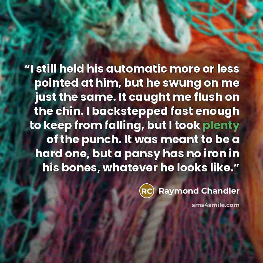 “I still held his automatic more or less pointed at him, but he swung on me just the same. It caught me flush on the chin. I backstepped fast enough to keep from falling, but I took plenty of the punch. It was meant to be a hard one, but a pansy has no iron in his bones, whatever he looks like.” quote by Raymond Chandler