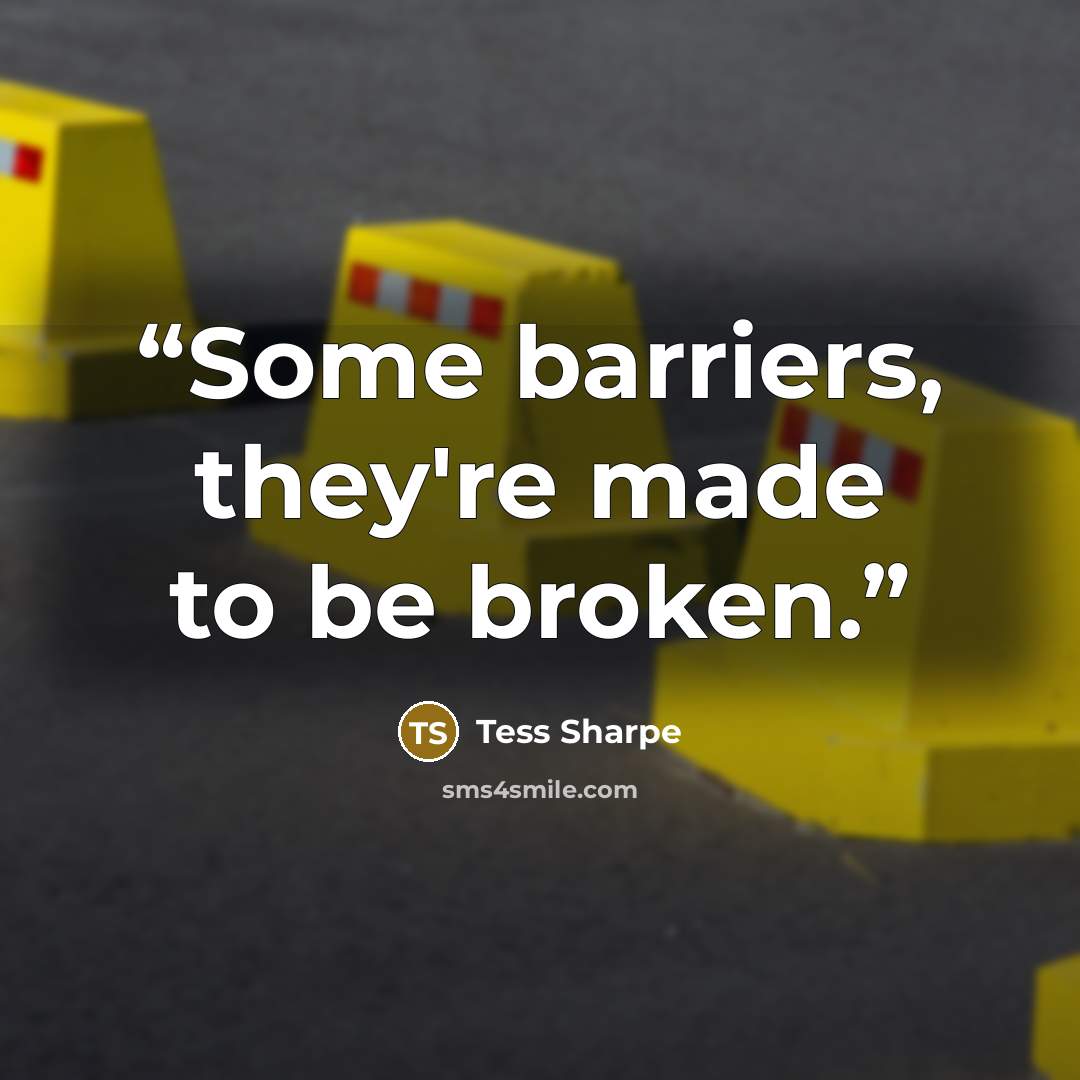 “Some barriers, they're made to be broken.” quote by Tess Sharpe