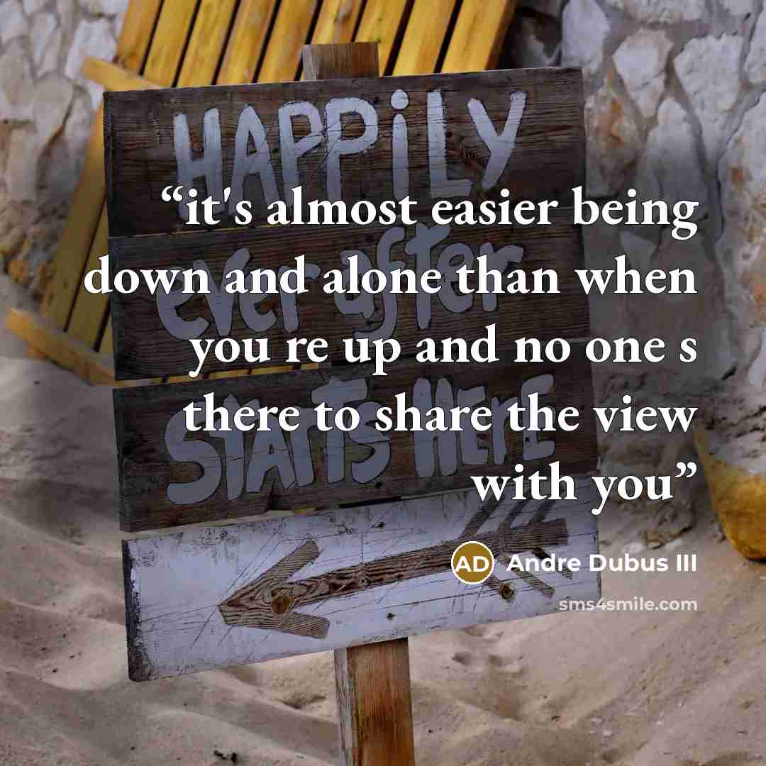 “it's almost easier being down and alone than when you re up and no one s there to share the view with you” quote by Andre Dubus III