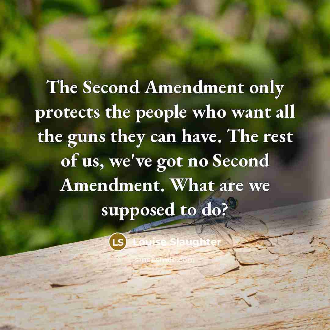 “The Second Amendment only protects the people who want all the guns they can have. The rest of us, we've got no Second Amendment. What are we supposed to do?” quote by Louise Slaughter