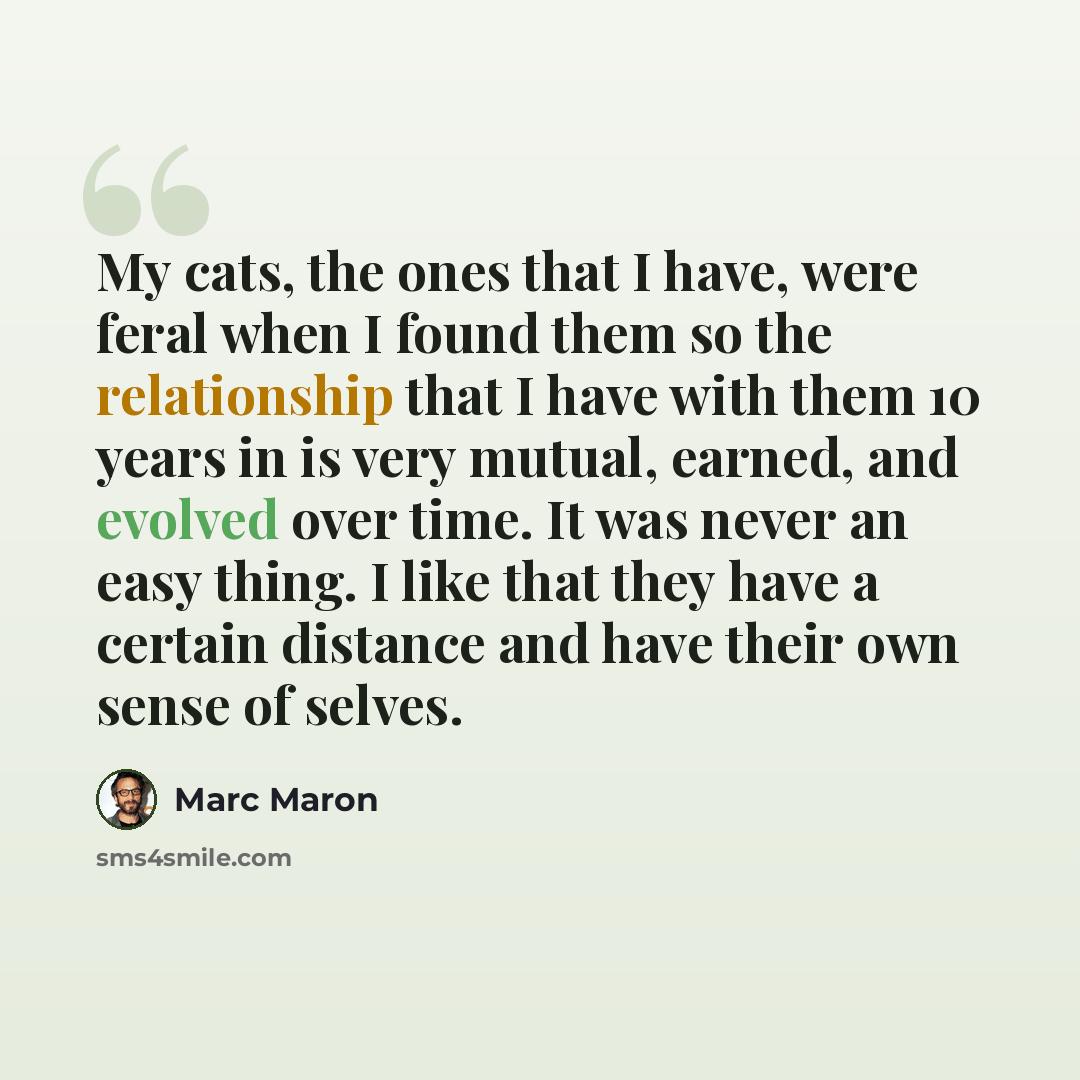 “My cats, the ones that I have, were feral when I found them so the relationship that I have with them 10 years in is very mutual, earned, and evolved over time. It was never an easy thing. I like that they have a certain distance and have their own sense of selves.” quote by Marc Maron