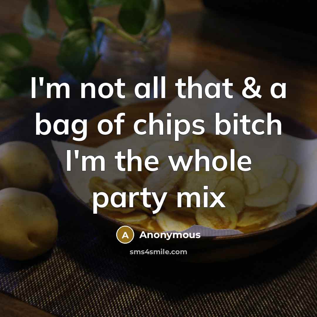“I'm not all that & a bag of chips bitch I'm the whole party mix” quote by Anonymous