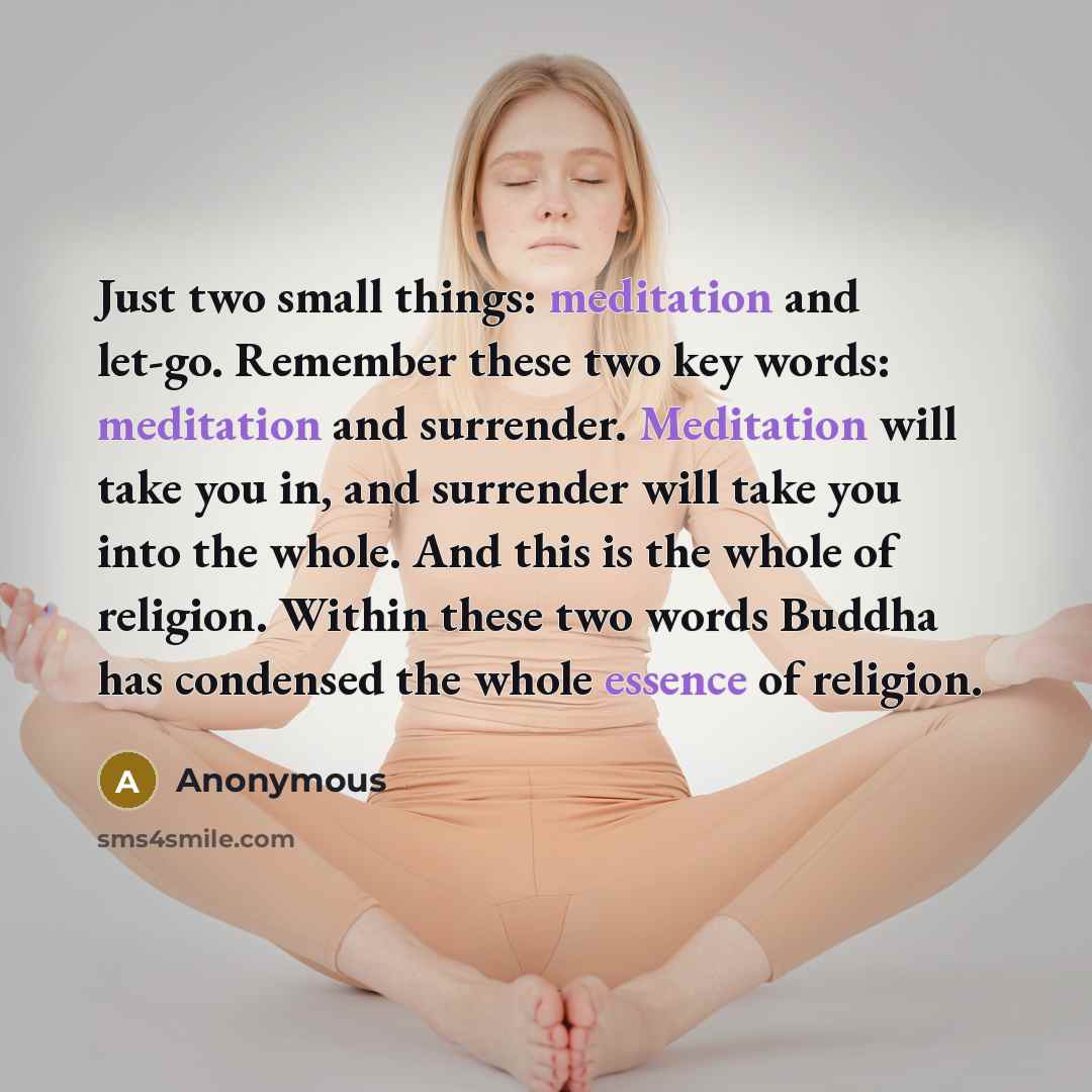 “Just two small things: meditation and let-go. Remember these two key words: meditation and surrender. Meditation will take you in, and surrender will take you into the whole. And this is the whole of religion. Within these two words Buddha has condensed the whole essence of religion.” quote by Anonymous