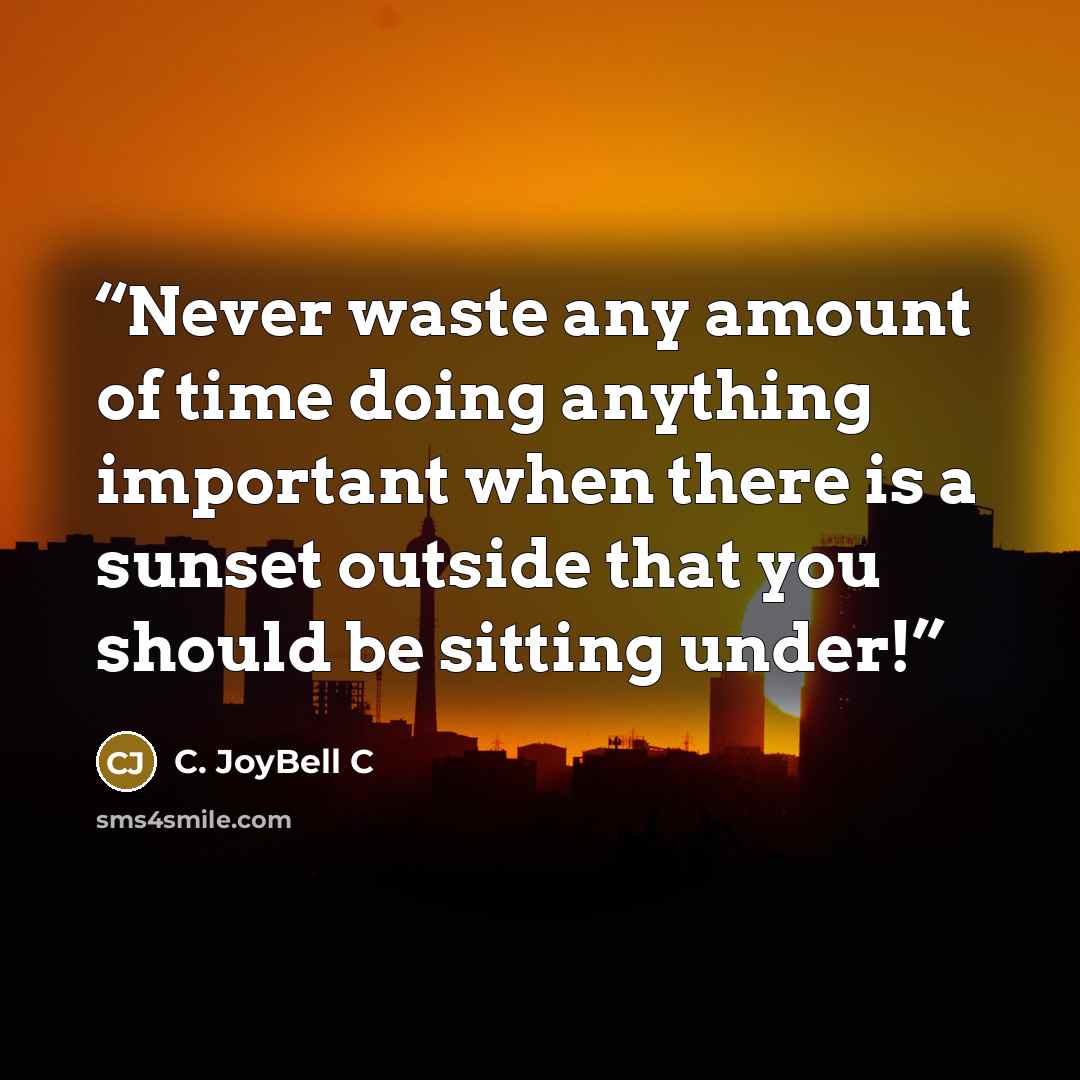 “Never waste any amount of time doing anything important when there is a sunset outside that you should be sitting under!” quote by C. JoyBell C