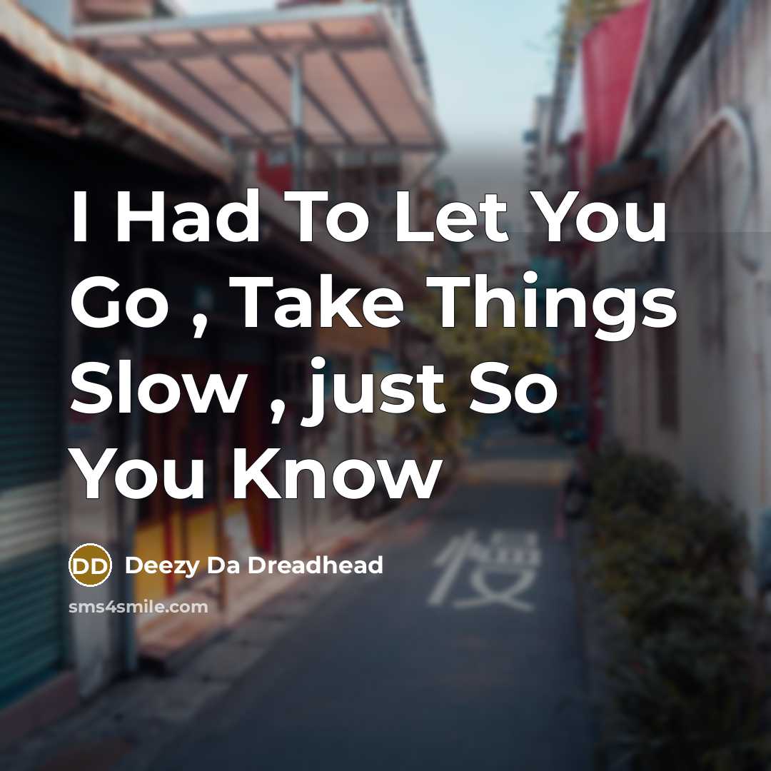“I Had To Let You Go , Take Things Slow , just So You Know” quote by Deezy Da Dreadhead